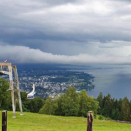 Gruenes Allgaeu Simon Held Opfenbach エクステリア 写真