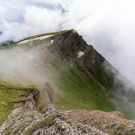 Gruenes Allgaeu Simon Held Opfenbach エクステリア 写真