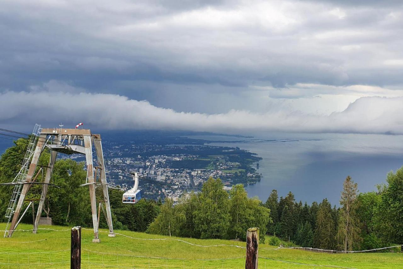 Gruenes Allgaeu Simon Held Opfenbach エクステリア 写真