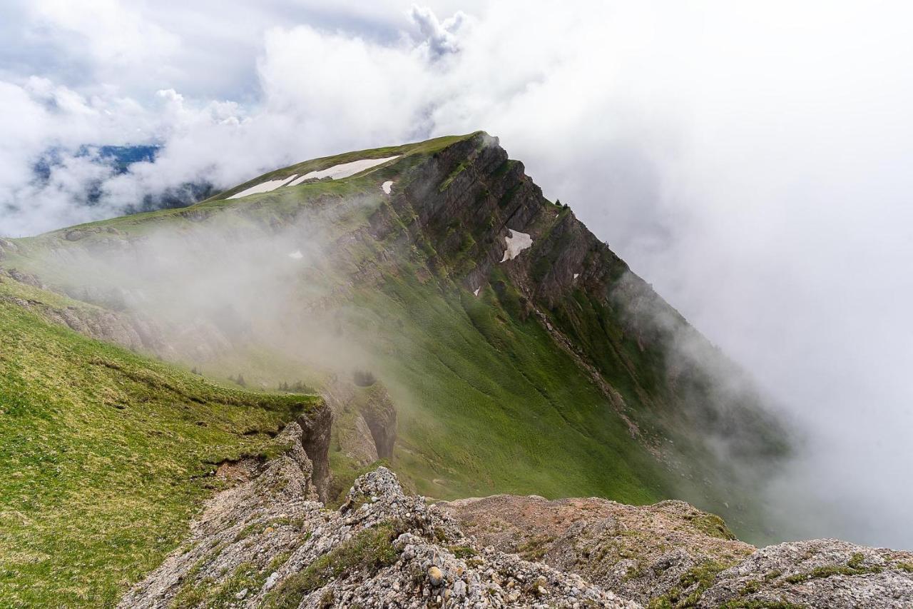 Gruenes Allgaeu Simon Held Opfenbach エクステリア 写真